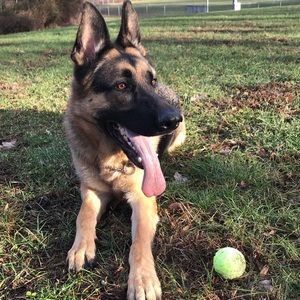 Meet your Posher, Steven